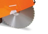 fs250 detail blatt